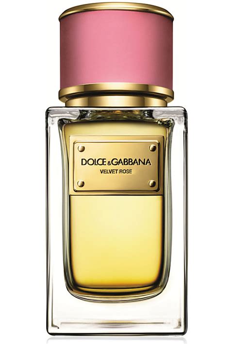 dolce and gabbana perfumes|best dolce and gabbana perfume for women.